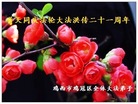 黑龙江省鸡西市鸡冠区全体大法弟子庆祝大法洪传二十一周年！！