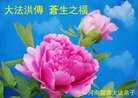 河南省三门峡市灵宝市大法弟子恭祝师尊生日快乐！恭贺世界法轮大法日！