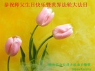 湖北省荆州市公安县大法弟子恭祝师父生日快乐暨世界法轮大法日！