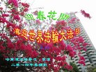 黑龙江省哈尔滨大法弟子喜迎世界法轮大法日！