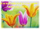 湖北省武汉市全体大法弟子祝师父生日快乐！祝贺世界法轮大法日十五周年！