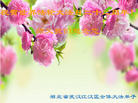 湖北省武汉市江汉区全体大法弟子祝师父生日快乐！祝贺世界法轮大法日十五周年！