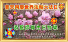 被非法关押在黑龙江省女子监狱的大法弟子普天同庆世界法轮大法日！恭祝师尊生日快乐！
