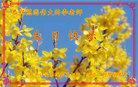 江苏省南京公安系统明真相已“三退”的警察恭祝李老师生日快乐！