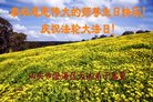 广东省汕头市澄海市区大法弟子恭祝师尊生日快乐！庆祝法轮大法日！