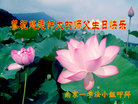 江苏省南京一学法小组大法弟子恭祝师父生日快乐！