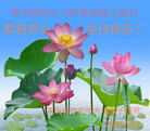 陕西榆林全体大法弟子恭祝师尊生日快乐！庆祝法轮大法洪传世界二十二周年！