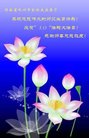 河南省郑州市全体大法弟子恭祝慈悲伟大的师尊生日快乐！