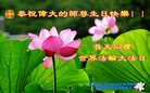 河南省三门峡市大法弟子恭祝师尊生日快乐！普天同庆世界法轮大法日！