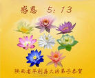 陕西省安康市平利县大法弟子恭贺5.13世界法轮大法日！