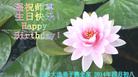 湖南省长沙大法弟子携全家遥祝师尊生日快乐！