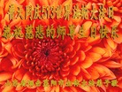 山东省烟台莱阳市全体大法弟子恭祝慈悲伟大的师尊生日快乐！