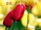 山东潍坊昌邑大法弟子恭祝慈悲伟大的师尊生日快乐！