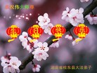 湖南省郴州市桂东县大法弟子恭祝慈悲伟大的师尊生日快乐！