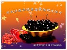 黑龙江省大庆湖滨教师花园大法弟子恭祝慈悲伟大的师尊生日快乐！