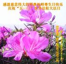 陕西汉中市大法弟子恭祝师尊生日快乐暨世界法轮大法日！