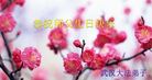 湖北省武汉大法弟子恭祝师父生日快乐！