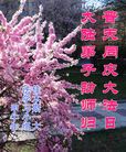 黑龙江省佳木斯大法弟子祝伟大慈悲的师尊生日快乐！