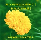 黑龙江大庆油田一大法弟子恭祝慈悲伟大的师尊生日快乐！