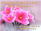 北京大法弟子恭贺世界法轮大法日暨师尊华诞(21条)