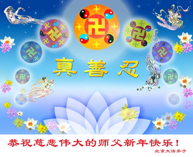 card-01