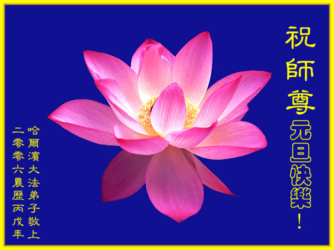 card-22