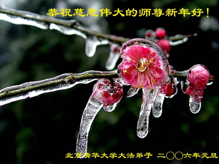 card-36