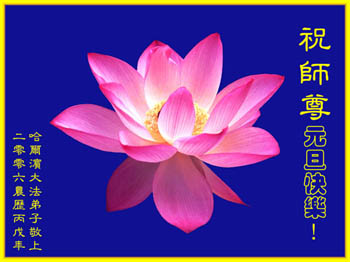 card-22