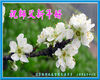 card-23