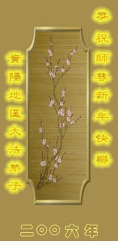 card-24