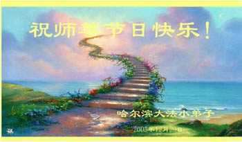 card-31