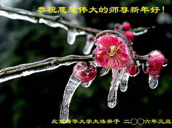 card-36