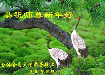 card-40