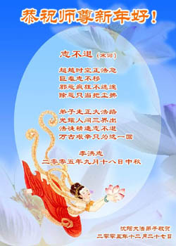 card-41