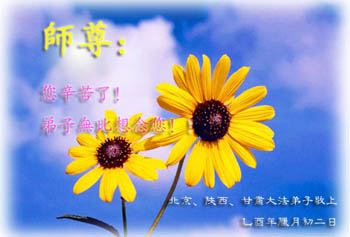 card-49
