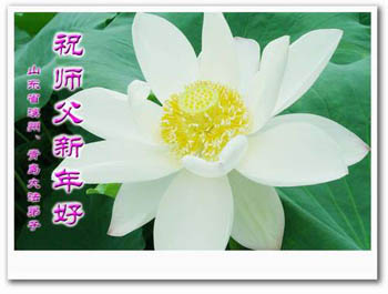 card-56