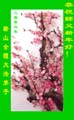 card-39