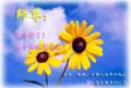 card-49