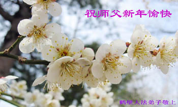 2006-lunar-newyear-05