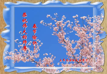 2006-lunar-newyear-24
