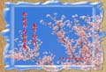 2006-lunar-newyear-24