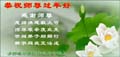 2006-lunar-newyear-27