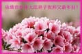 2006-lunar-newyear-39