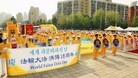 韩国各界同庆同祝世界法轮大法日 2010-05-13  