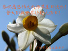 广东省广州高校大法弟子恭祝慈悲伟大的师父生日快乐！