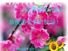 广东桂岭山区大法弟子恭祝师父生日快乐！