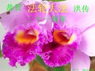 湖南郴州大法弟子学法小组恭祝法轮大法洪传二十一周年！