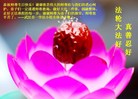 湖北省武汉一学法小组全体大法弟子恭祝师尊生日快乐！