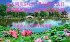 黑龙江省哈尔滨市双城市大法弟子归珍恭祝慈悲伟大的师尊生日快乐！普天同庆世界法轮大法日！