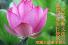 黑龙江省哈尔滨市双城市大法弟子登九恭祝师尊生日快乐！同庆法轮大法日！